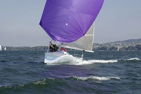 Dolphin: Grosssegel aus Pentex Tri-Radial, Top-Spinnaker