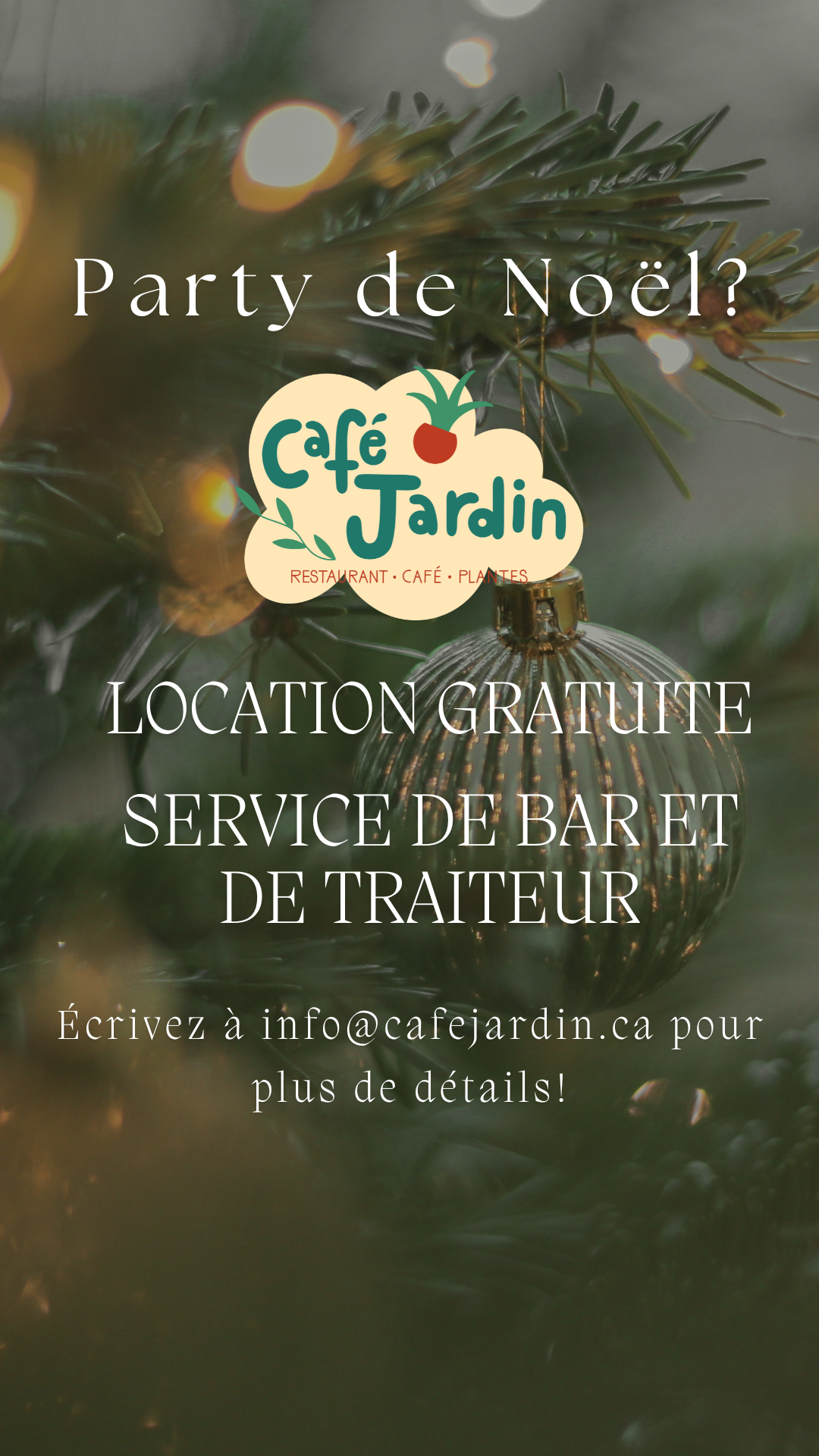 Party de Noël privé