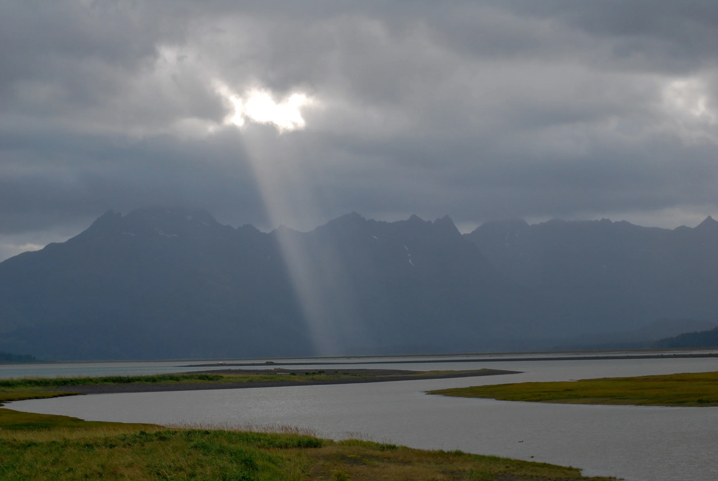 DSC_0272.jpg
