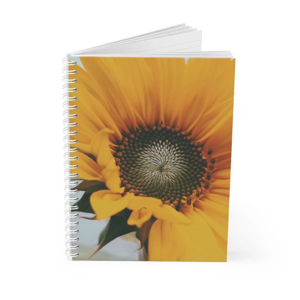 746988285a7cc5f455bb1ad1af7c12d7