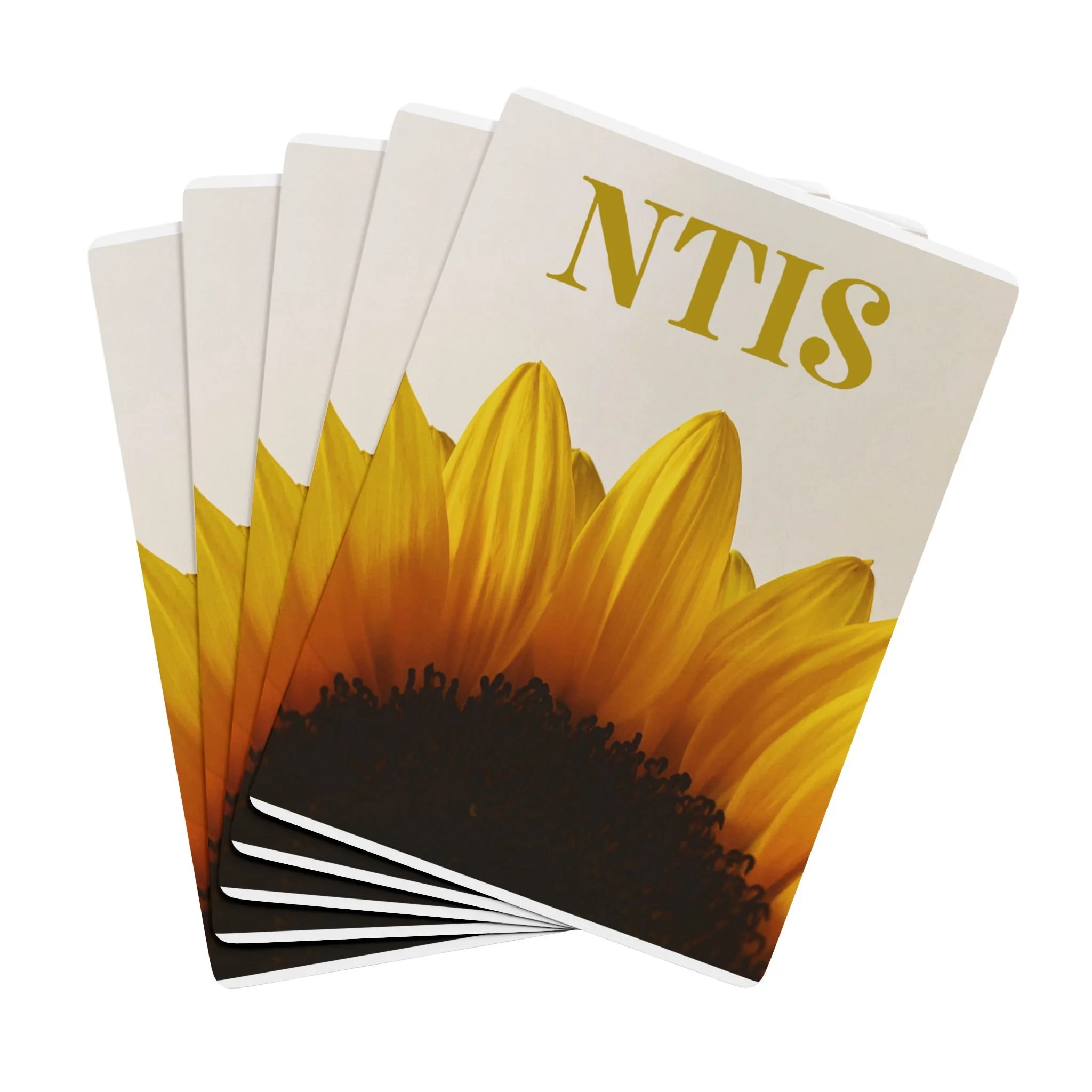 2e4be128f04eb14110f5d52297a0d36b