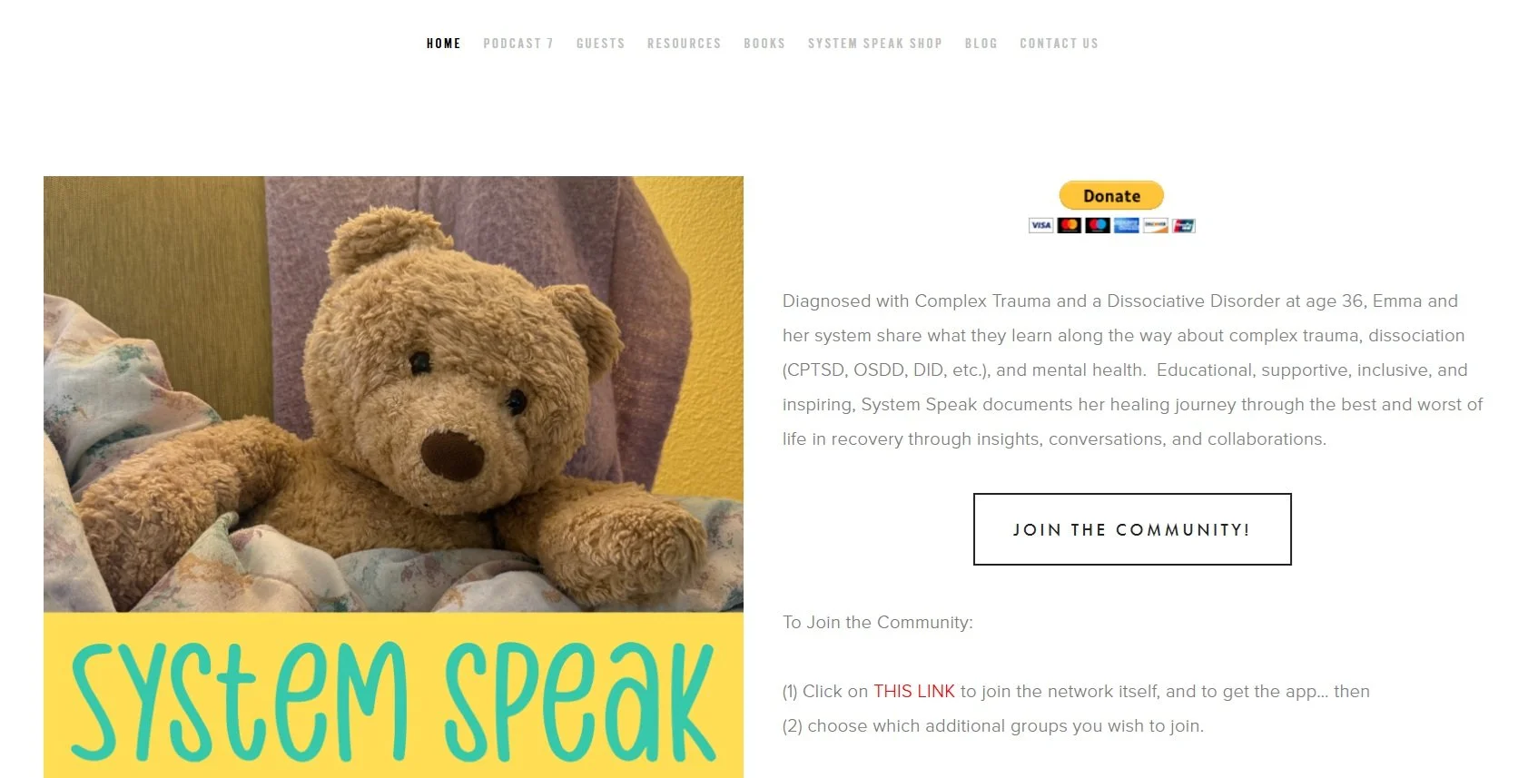 website screenshot.jpg