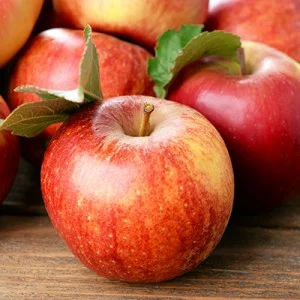 apple-square-300x300.jpg