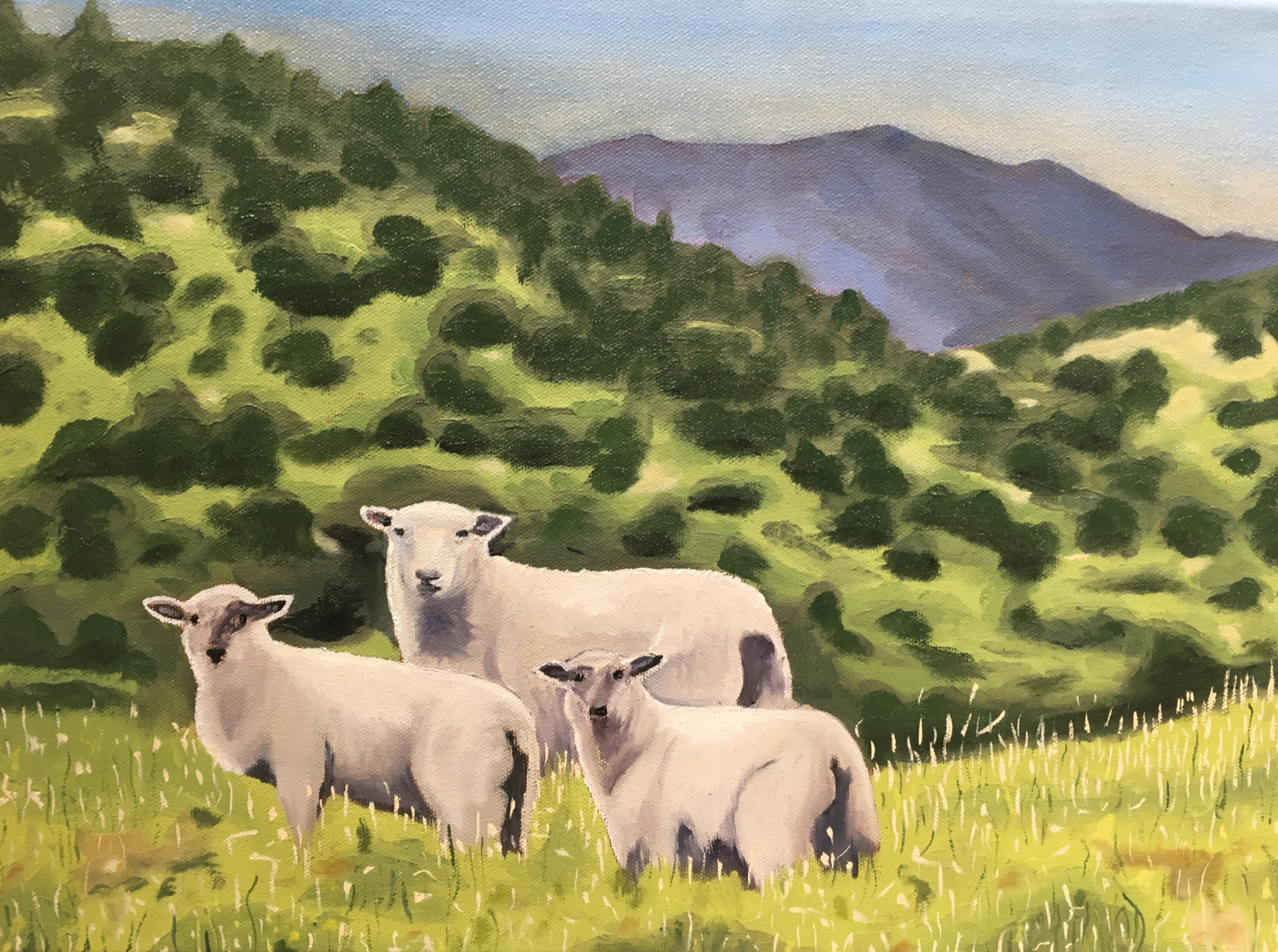 Three Sheep