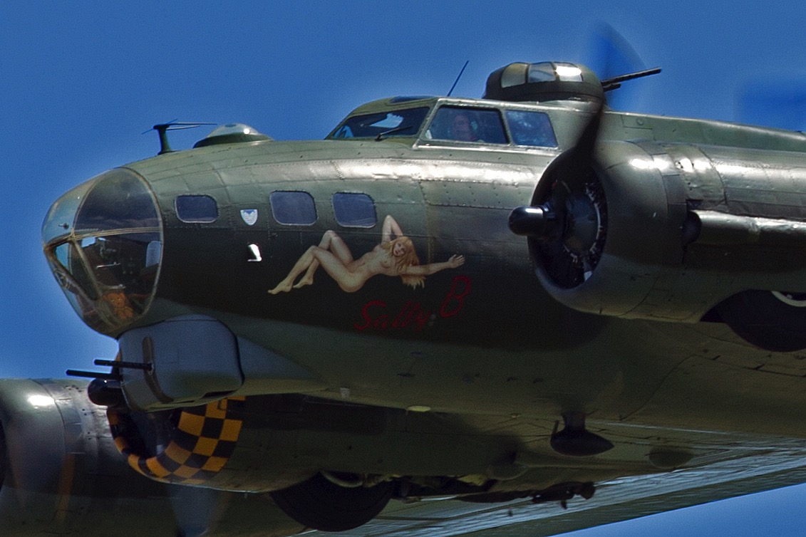 B17d.jpg