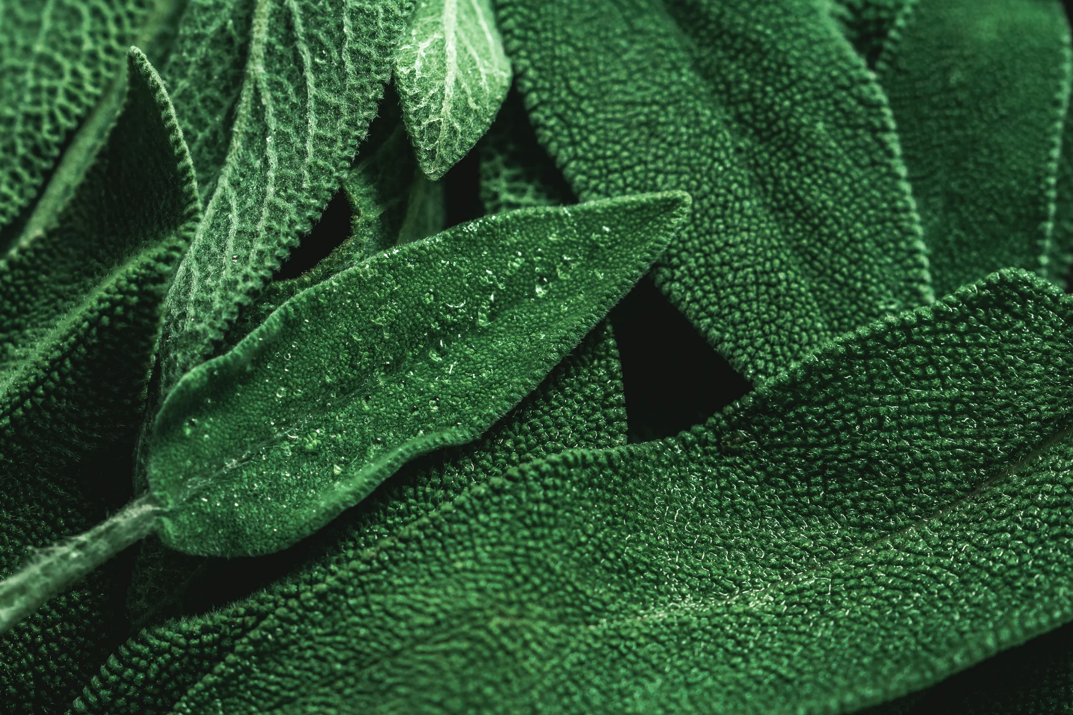 iStock-905841570.jpg