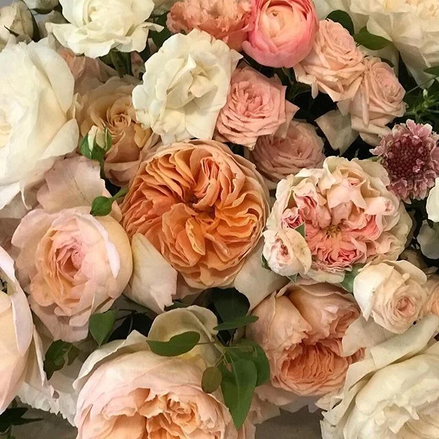 A lot has been happening in my world recently.  We lost a beloved grandparent which has shifted our focus away from the usual day to day routines and responsibilities.  We have all been sick at the same time, requiring urgent visits to the doctor and