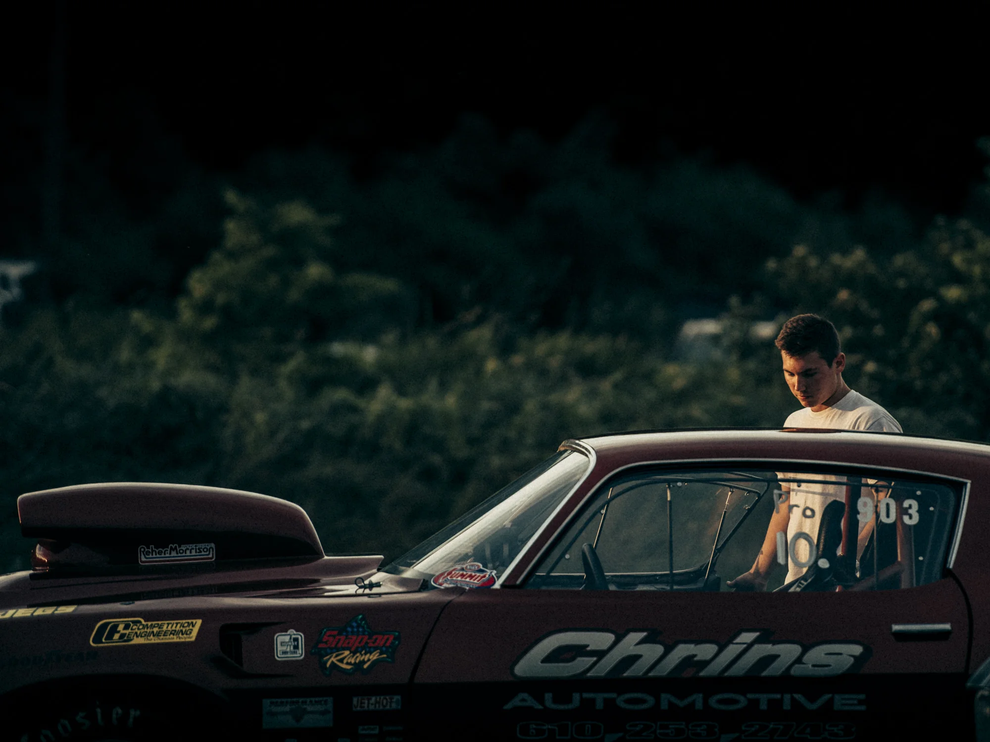 Crhins01.jpg