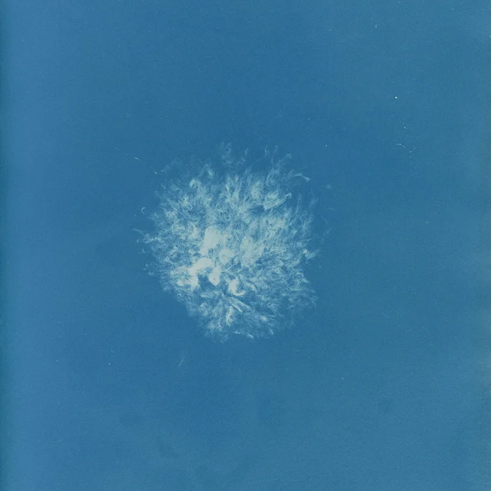 Ratner-Miscellany-700x.jpg