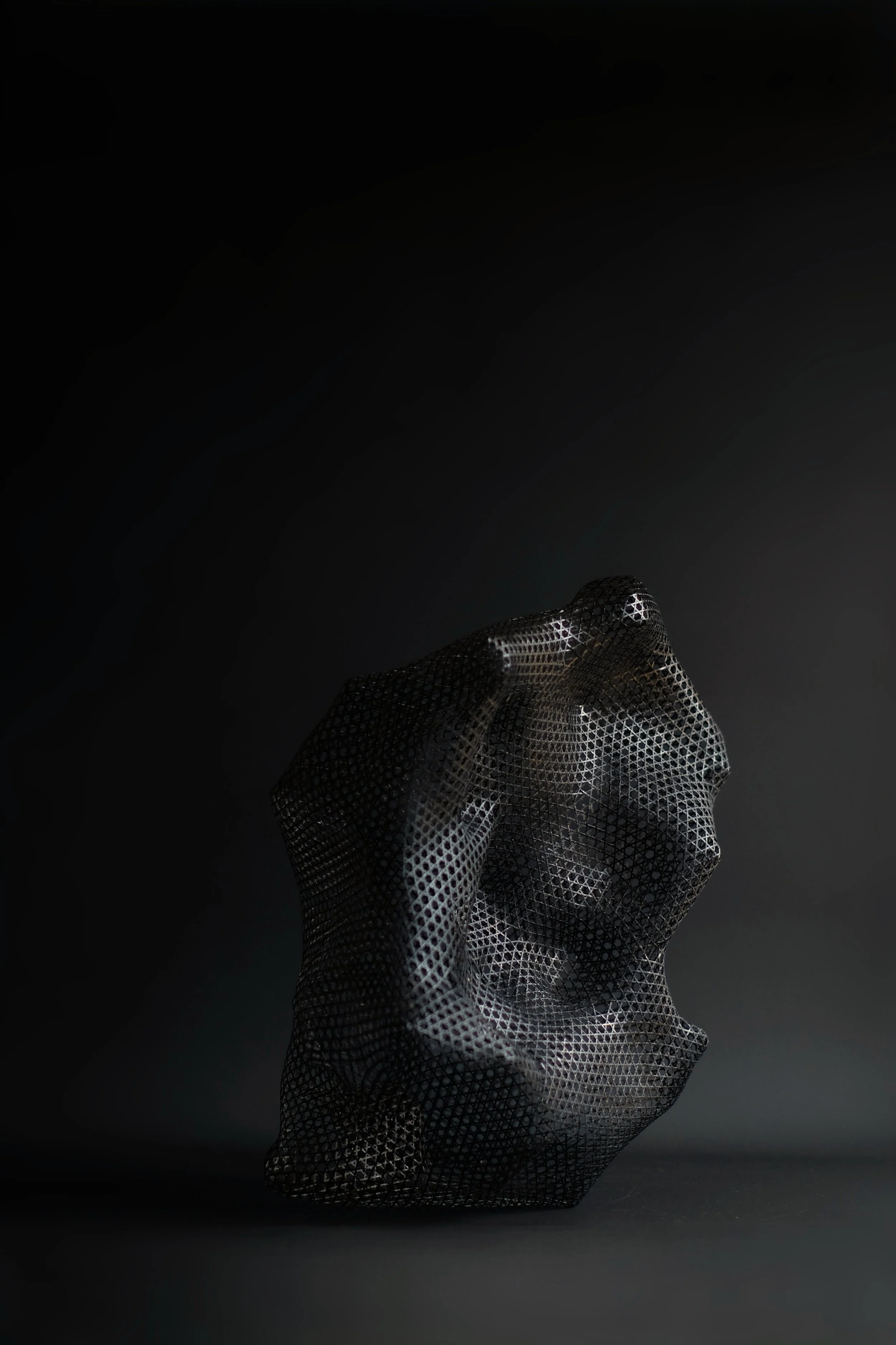 DSCF8538_3.jpg
