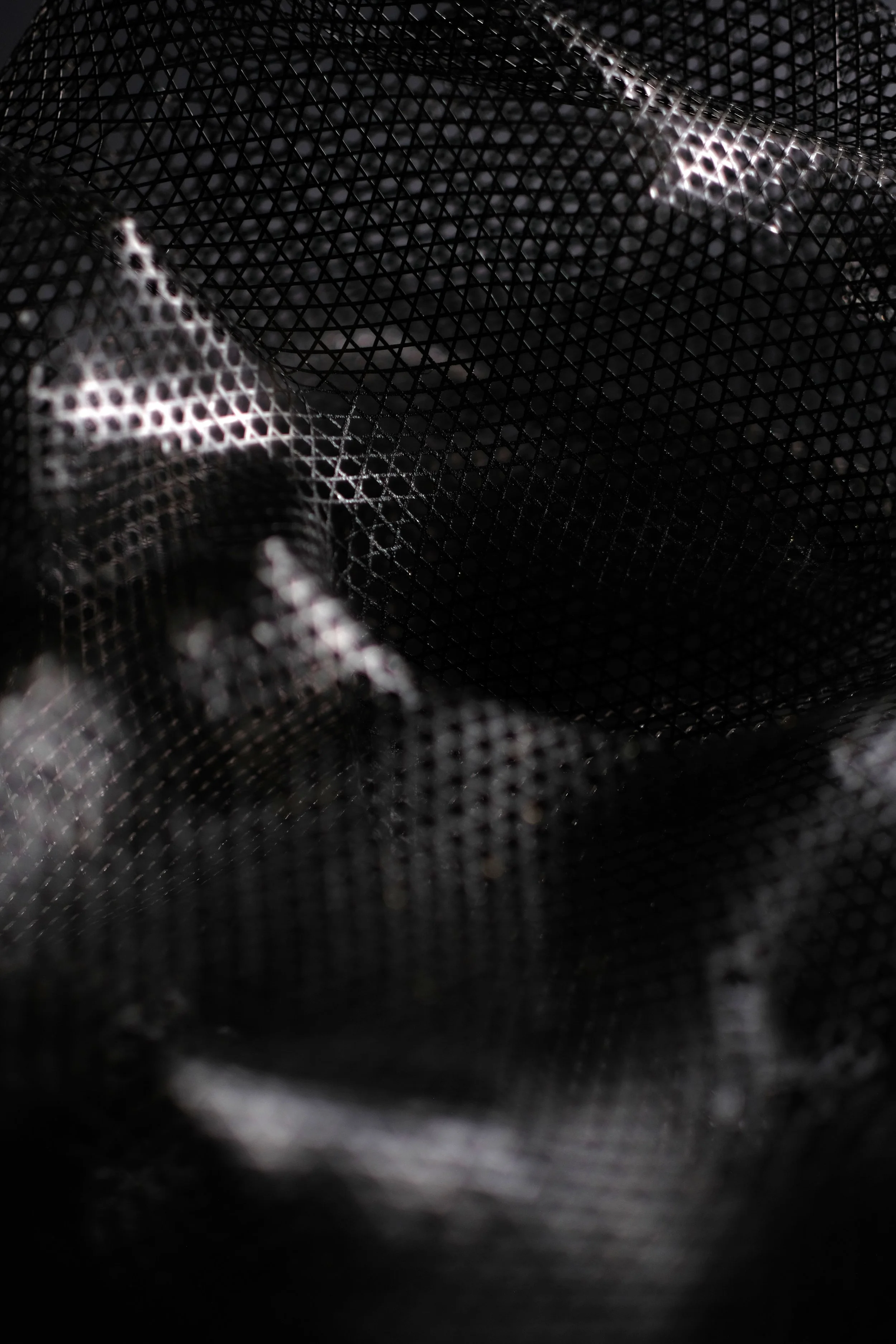 DSCF8526.JPG