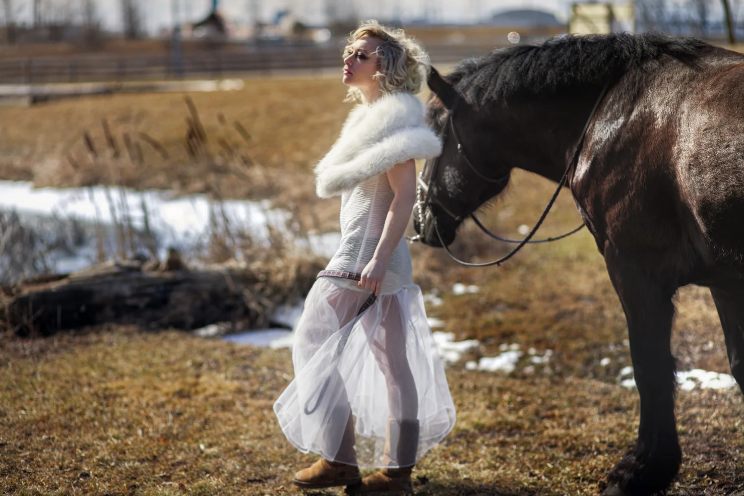 IMG_2308.jpg