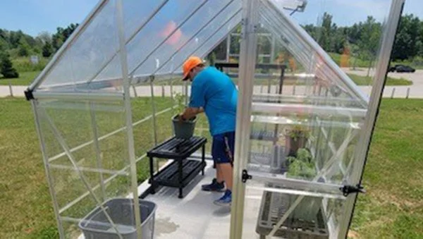 Youth of Chippewas of the Thames First Nation support their community through the Greenhouse Project