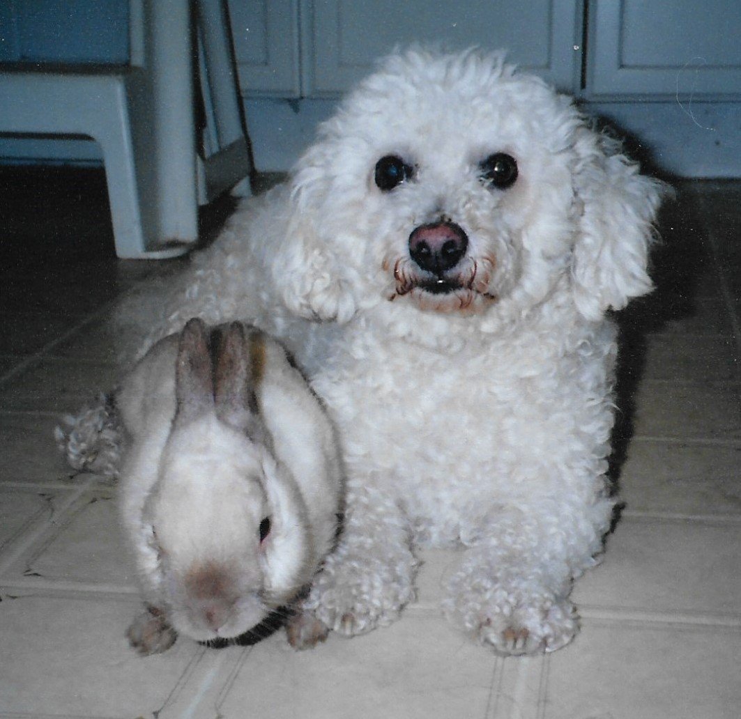 Benny with Rabbit.jpg