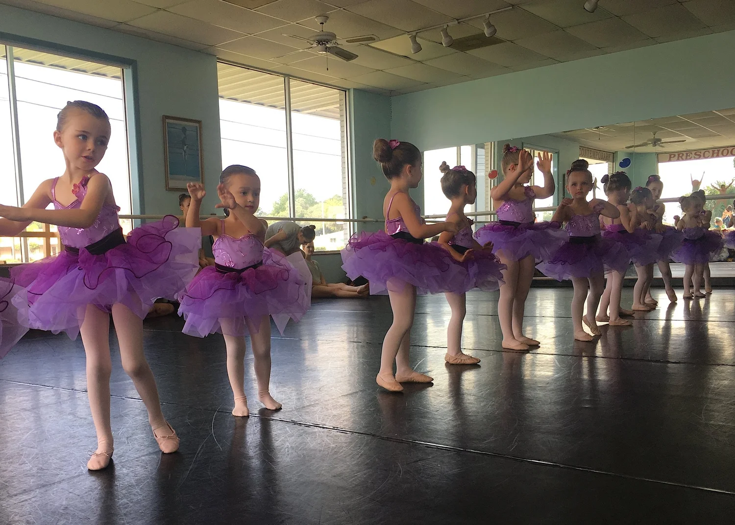 Overview — Suncoast Academy of Dance
