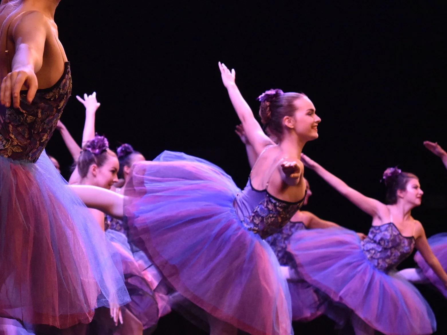 Dance of the Sugar Plum