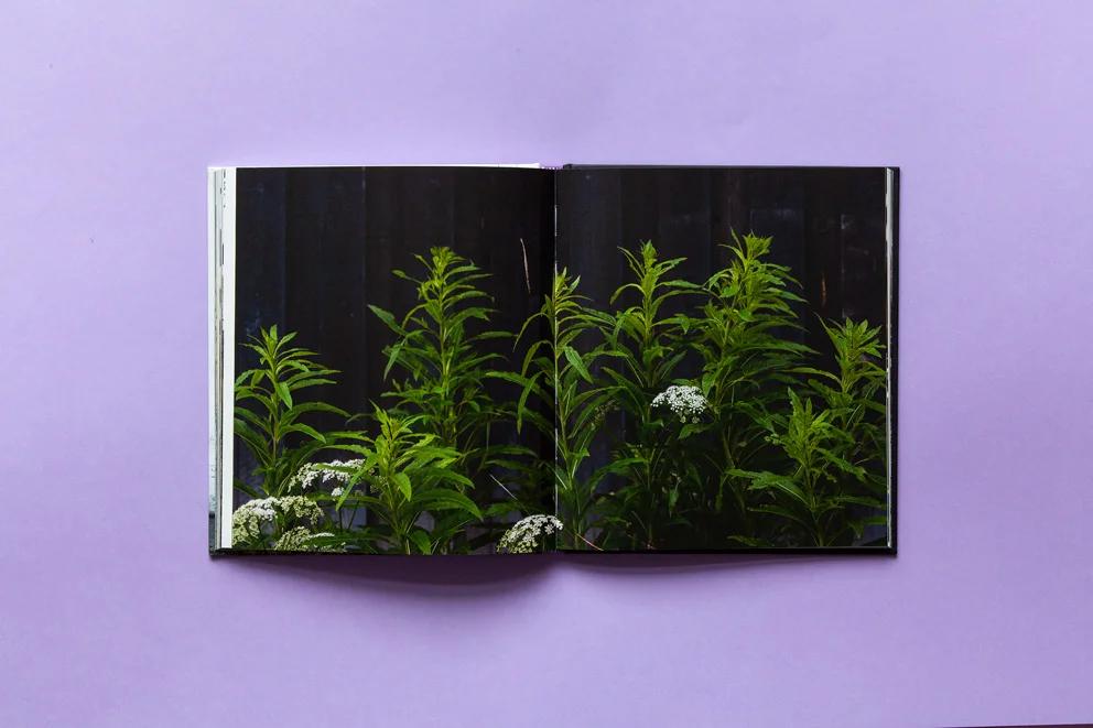  book spread 