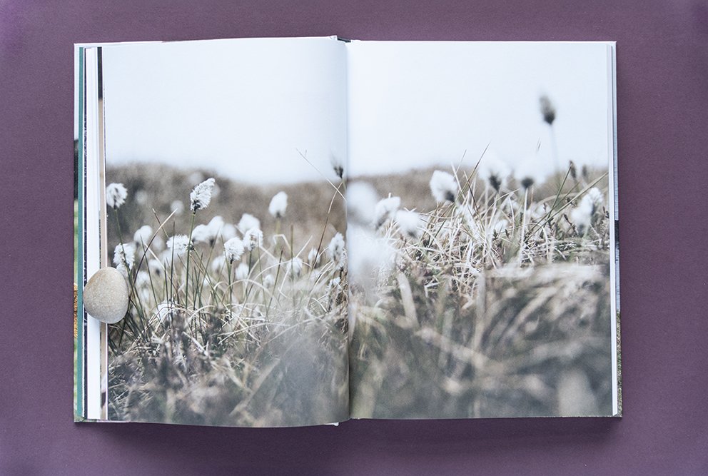 Shetlanti_DSC02638 .jpg