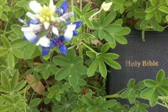 26+Bible+%26+Bluebonnets.jpg