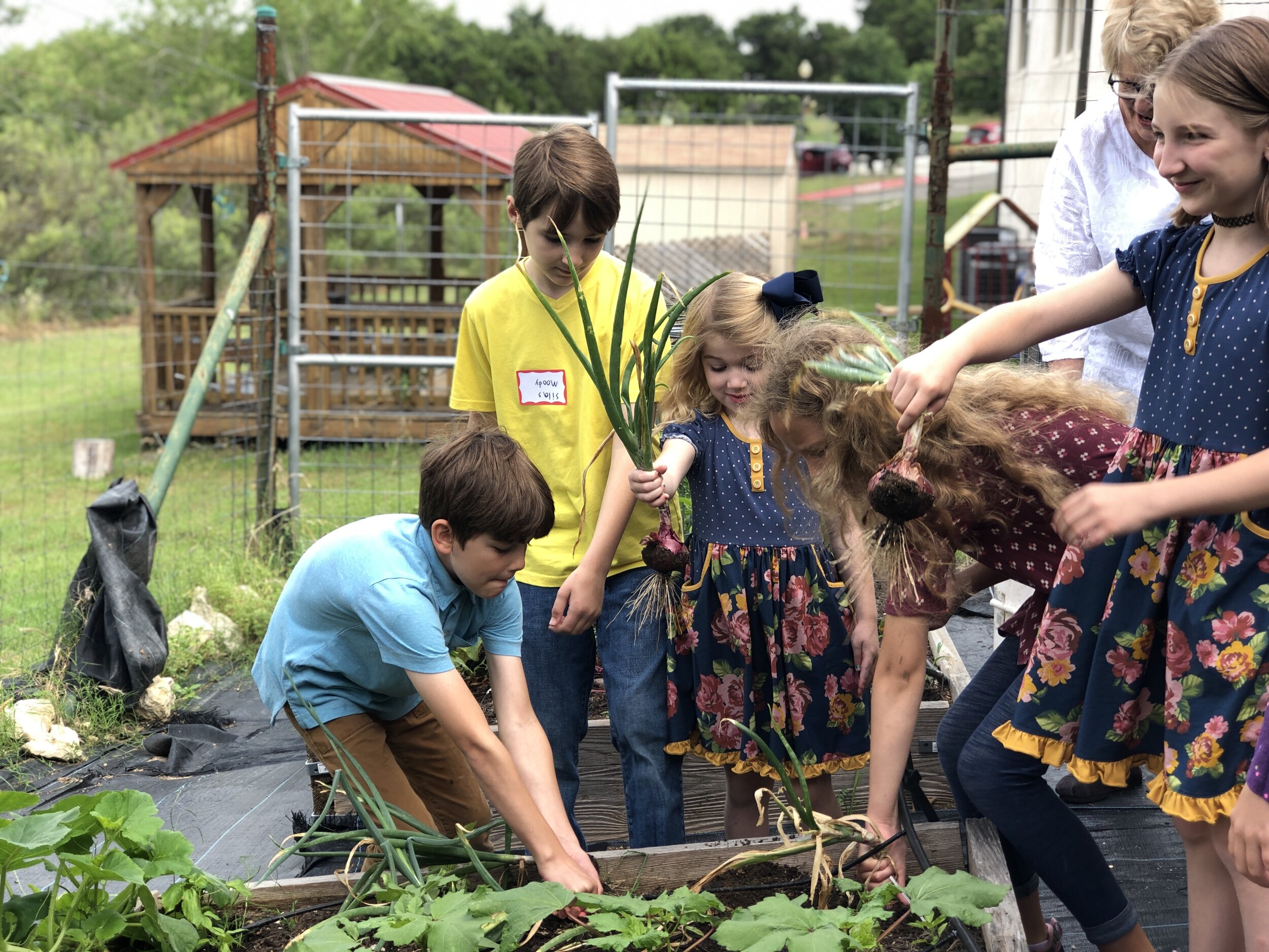 pullling veggies_Garden Day_McManus.jpg