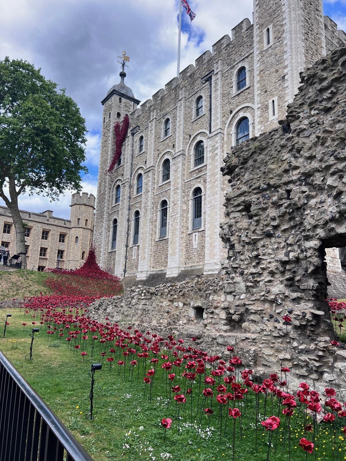 Poppies at the Tower of London