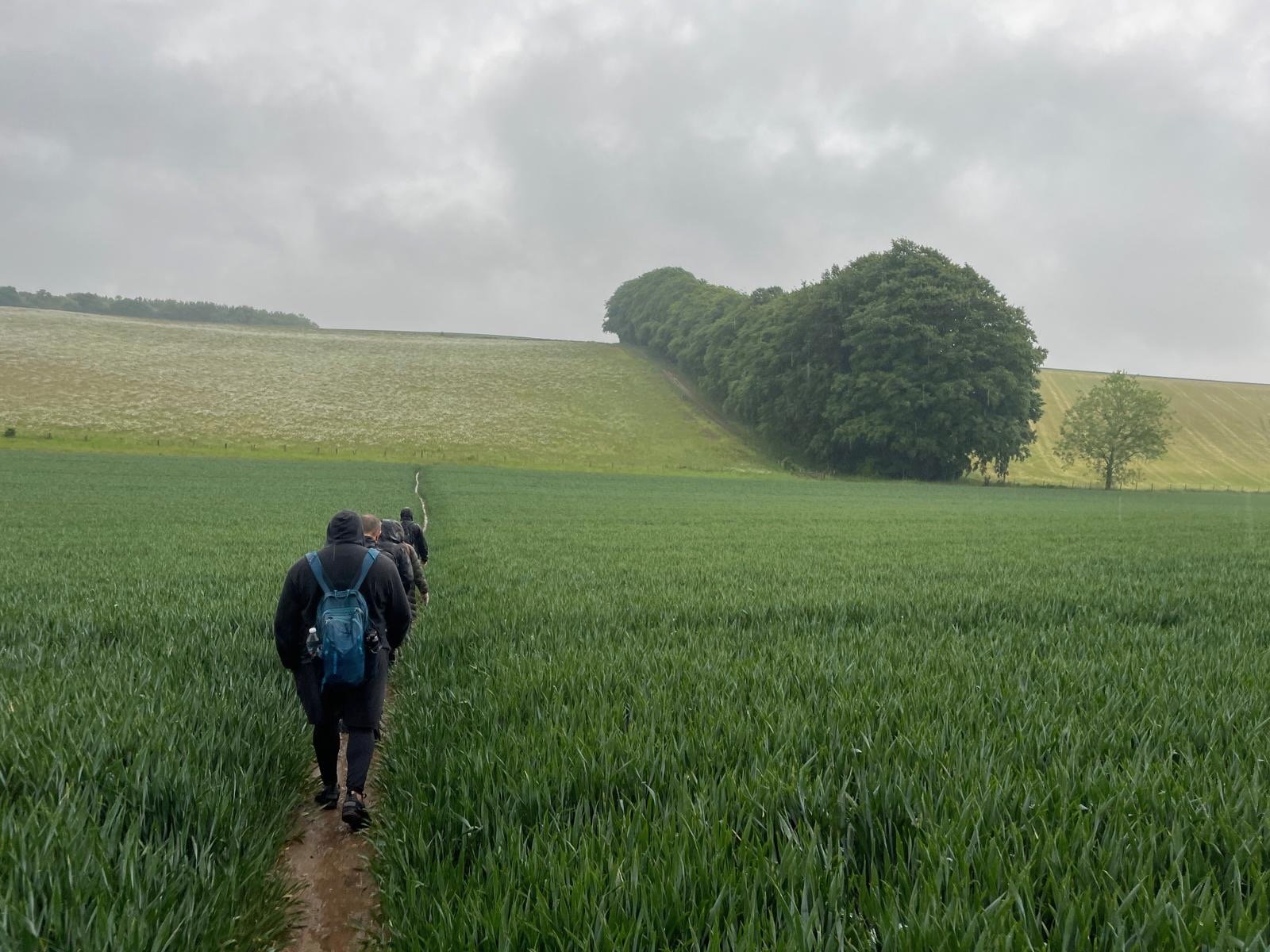 How many pilgrims trod this path?