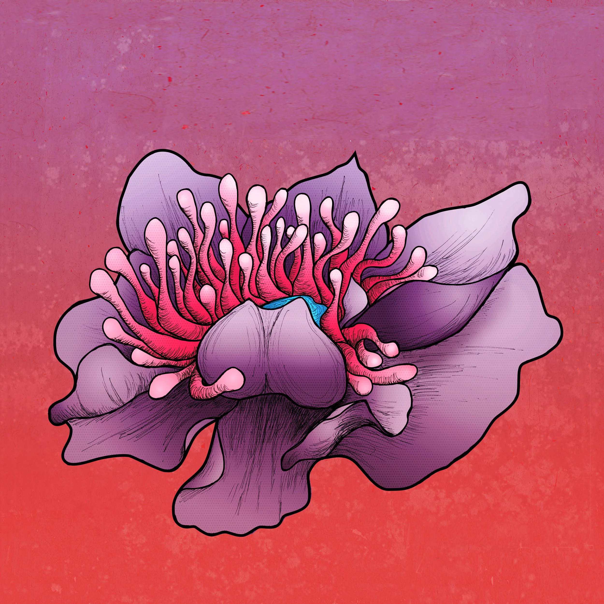 ANEMONE WEB ICON.jpg