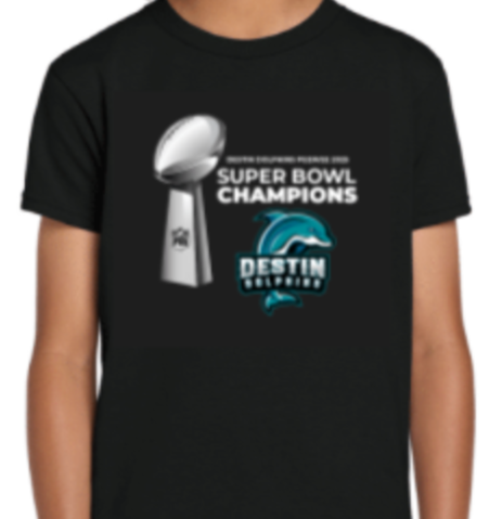 Destin Football Superbowl Champions