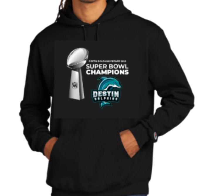 Destin Football Super Bowl Champions Hoodie