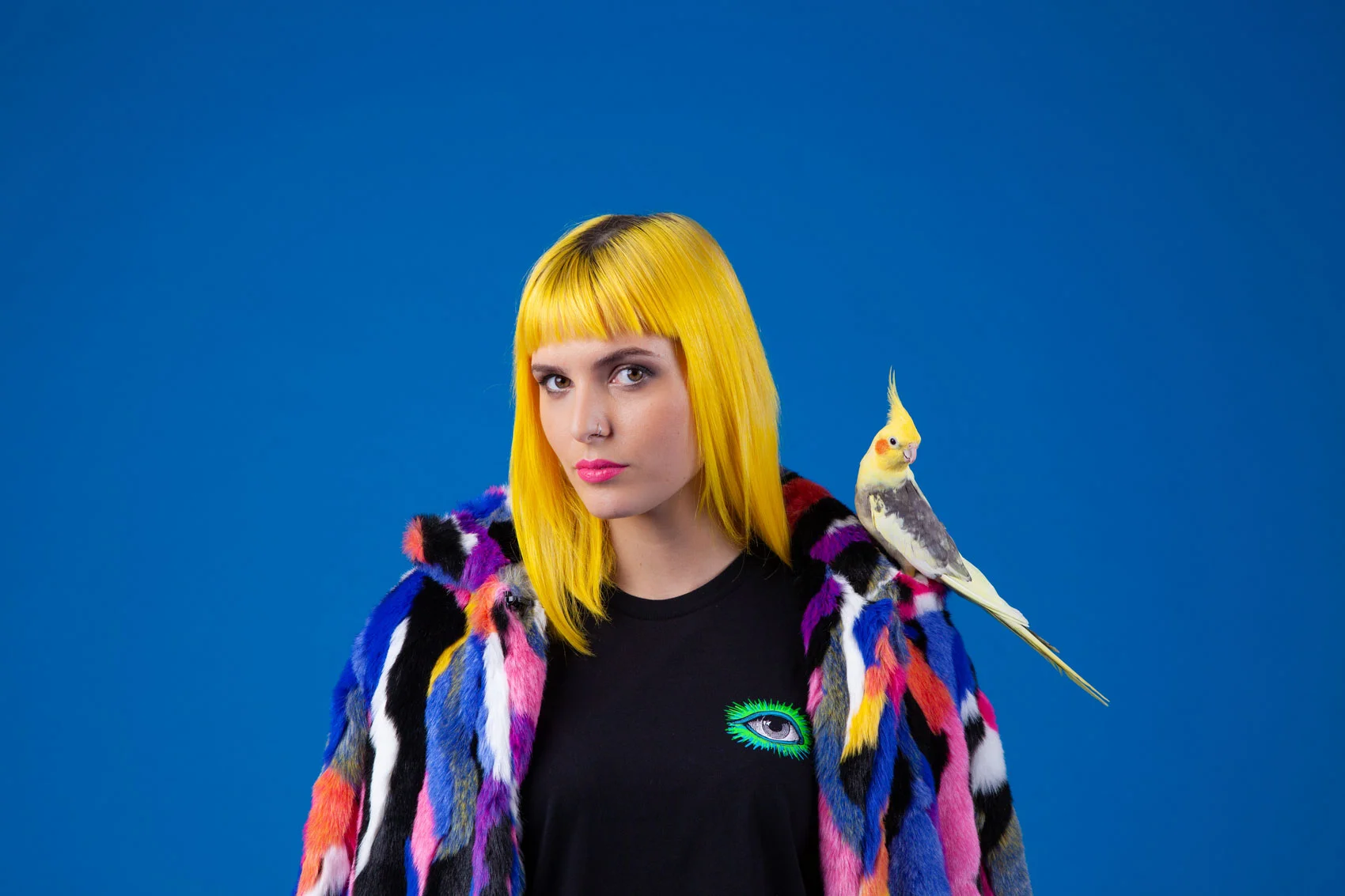 Yellow_Room-Header.jpg