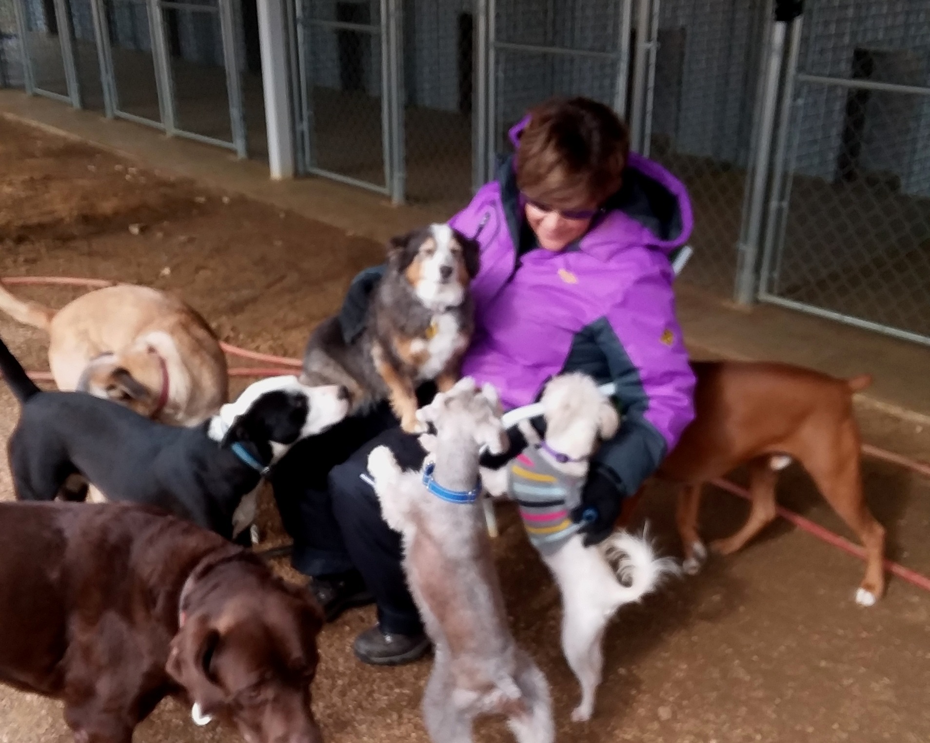 Melissa with New Year's 2018 dogs.jpg
