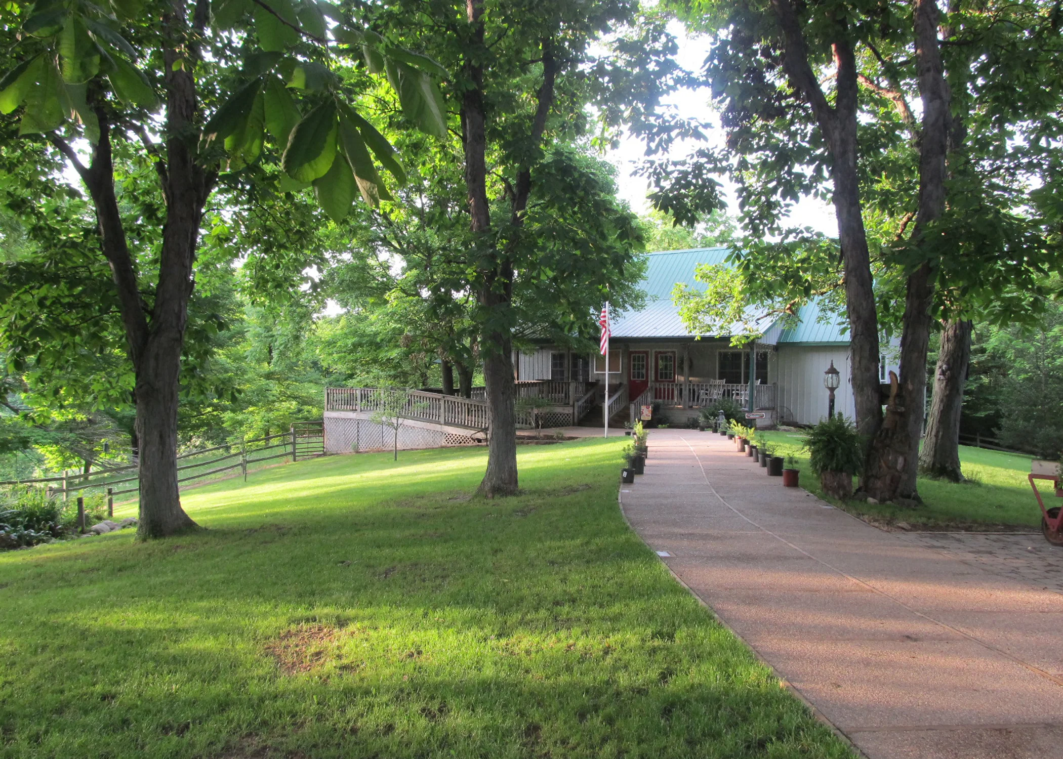 Whitetail Tree Farm 2012 054.JPG