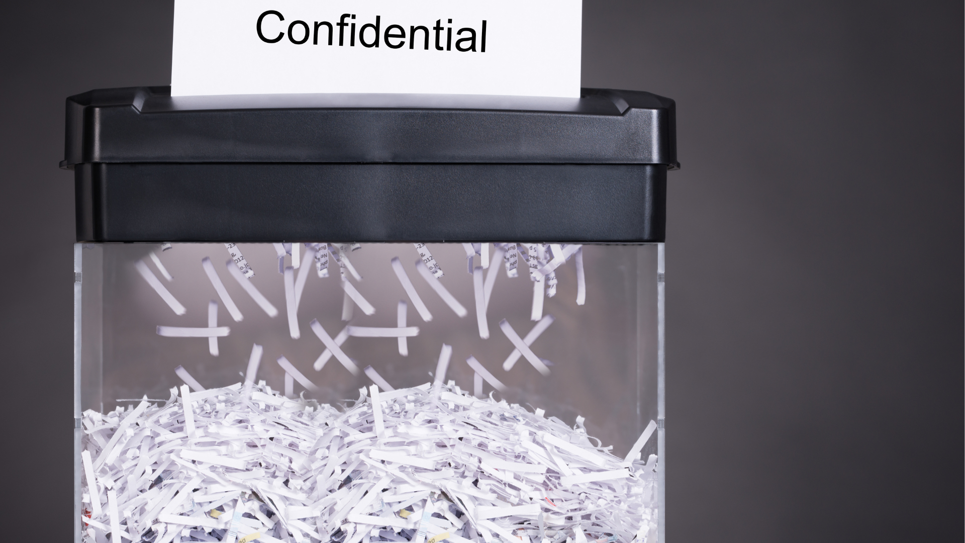 SHRED 2023.png