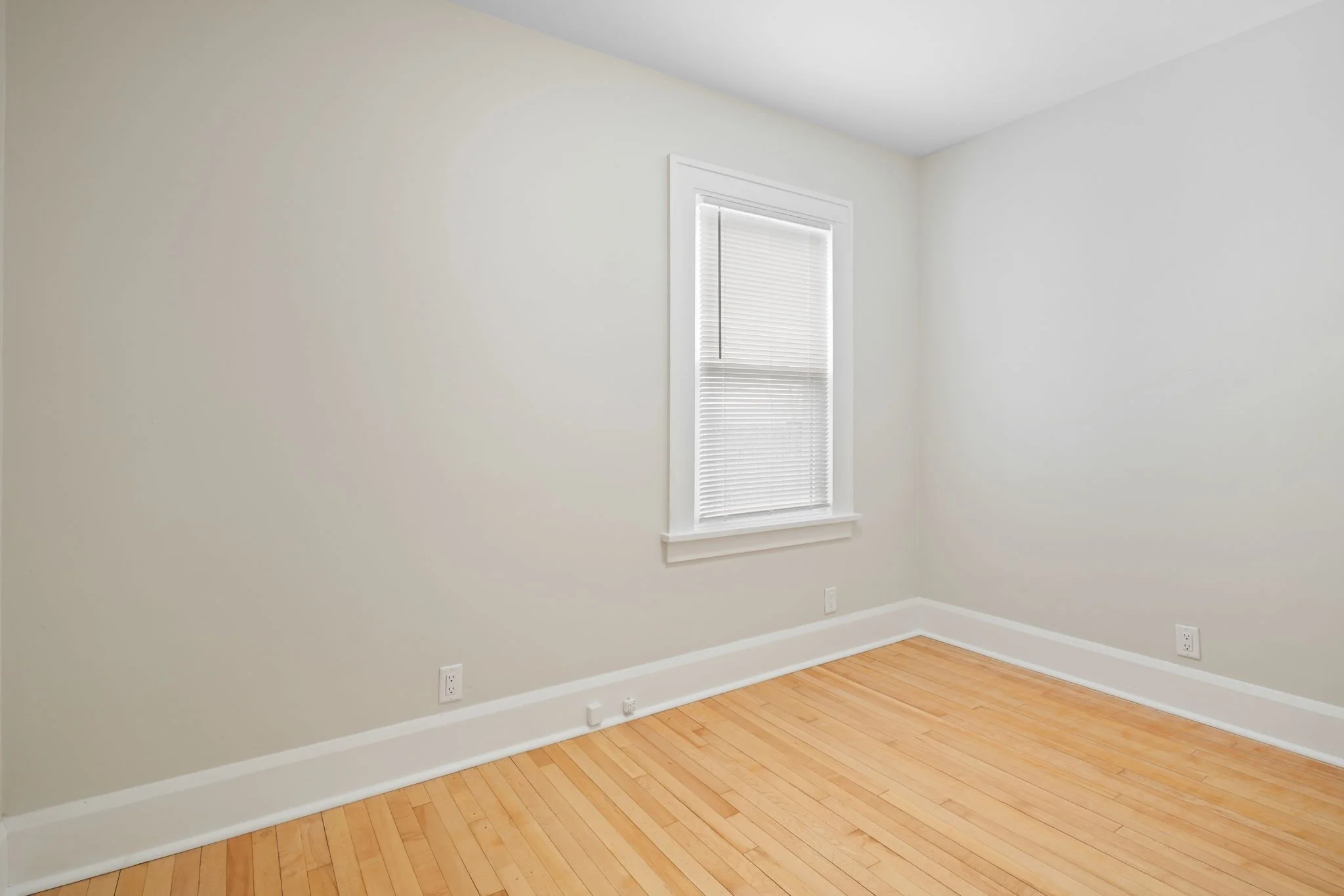 13-web-or-mls-DSC09860.JPG