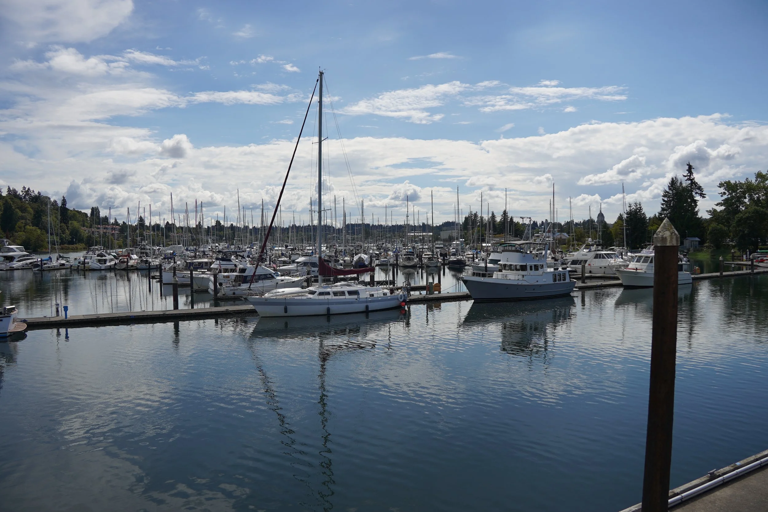 DSC06909.JPG