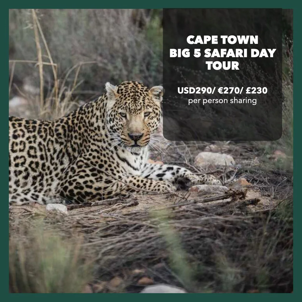 Travel Events - INTERNATIONALS.007.jpeg