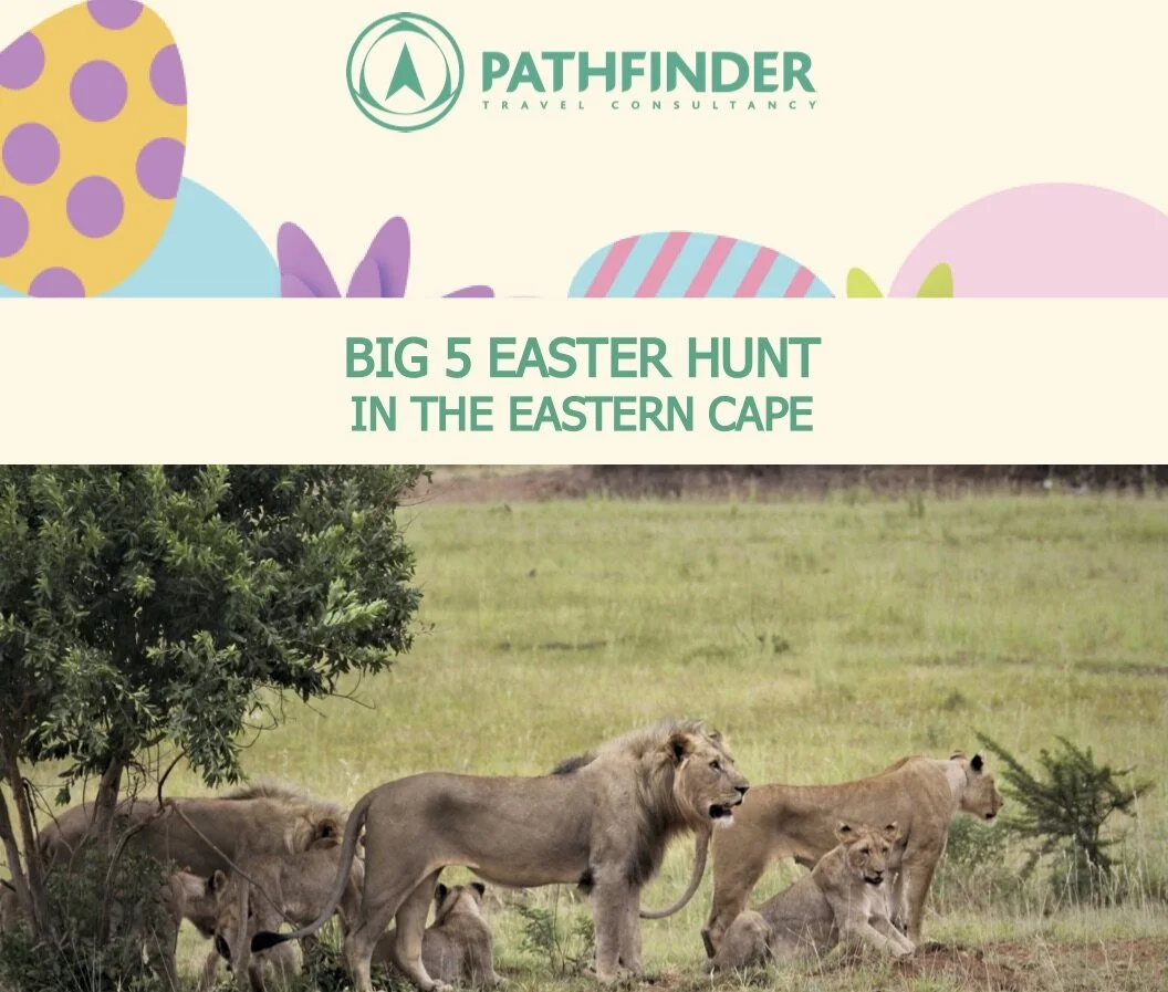 Spot the Big 5 Easter Hunt