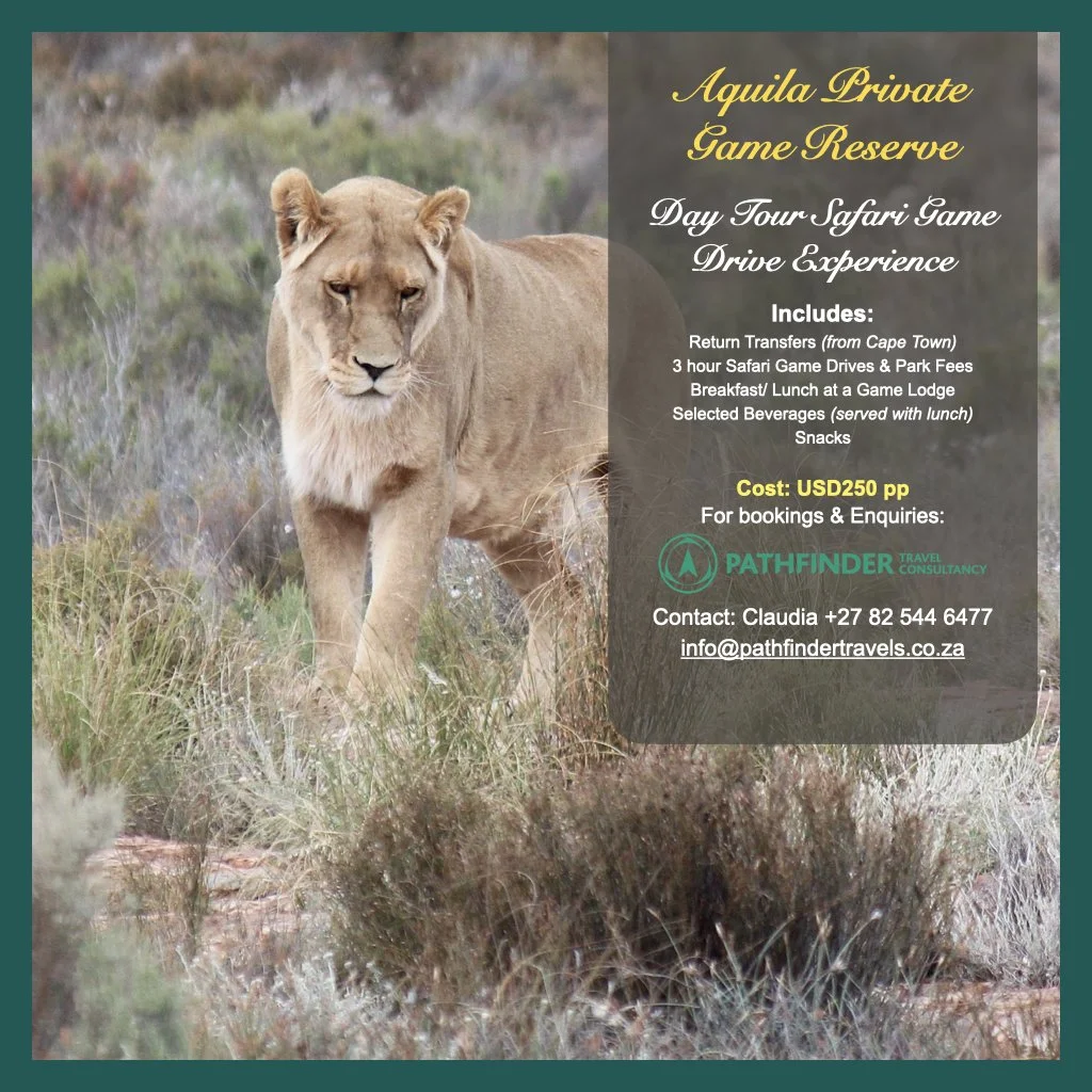 Aquila - Day Tour Safari Game Drive Experience