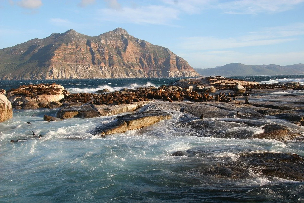 duiker-island-2076042_1280-2.jpg