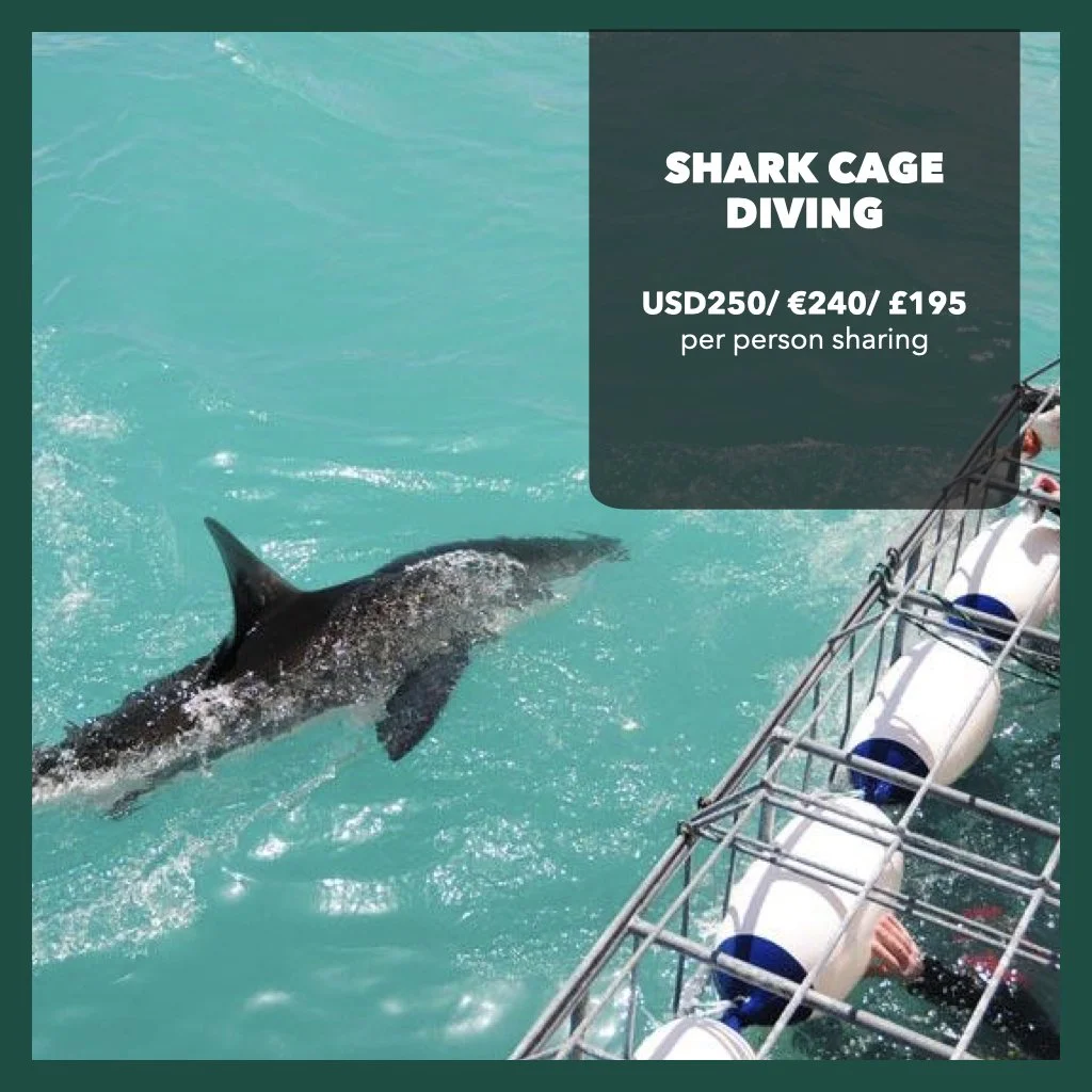 Travel Events - INTERNATIONALS.008.jpeg