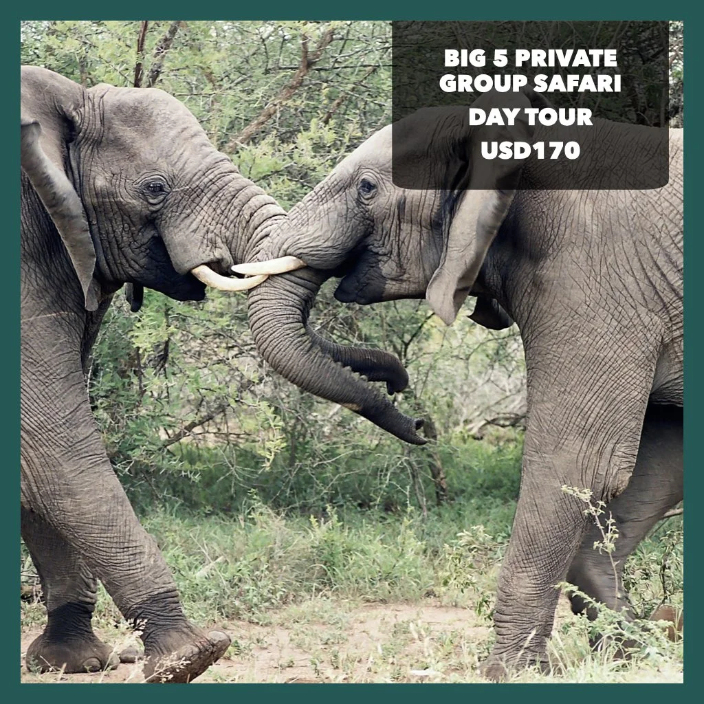 South Africa - Last minute .001.jpeg