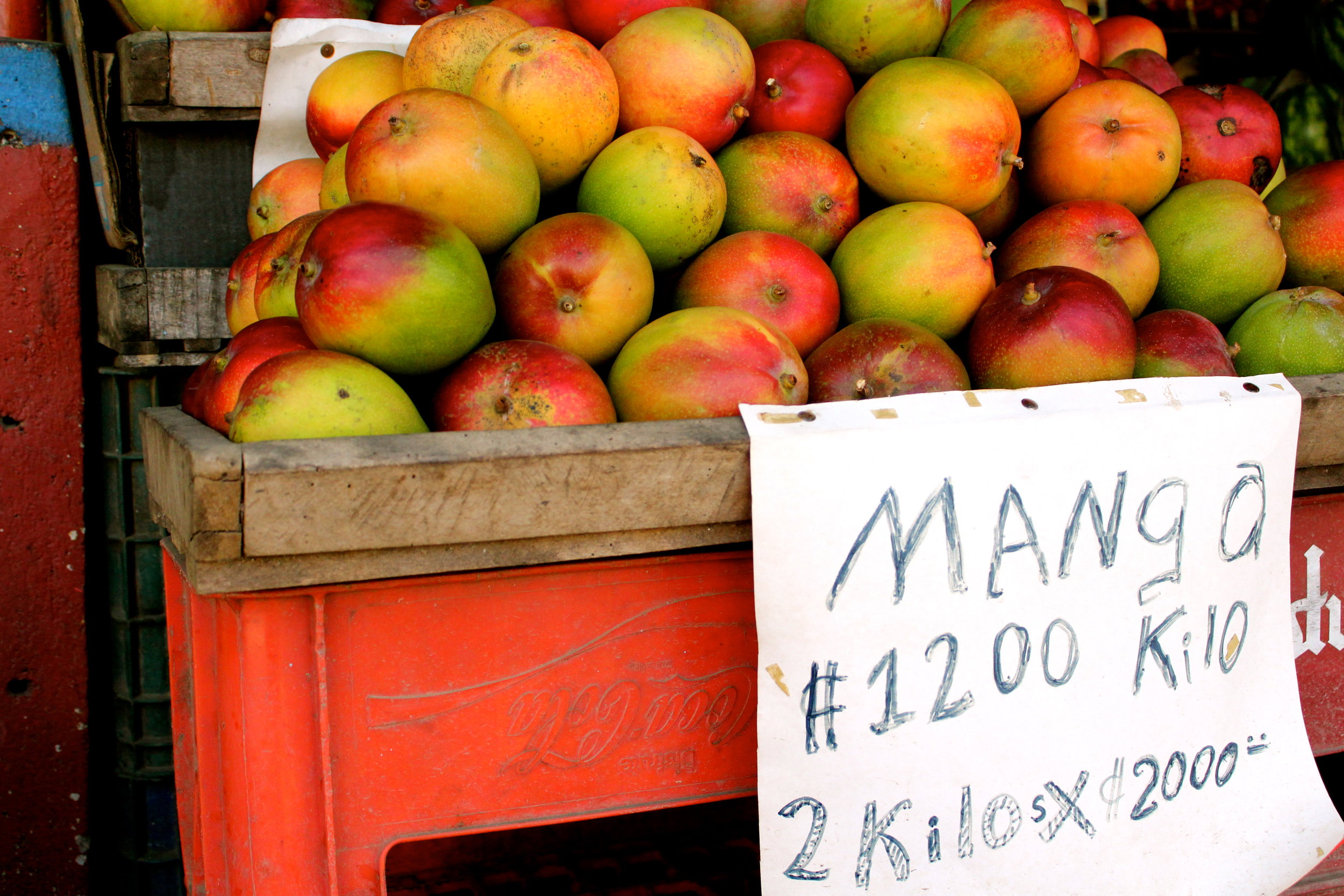  San Jose, Costa Rica 