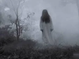 Episode 197: Trico Tri