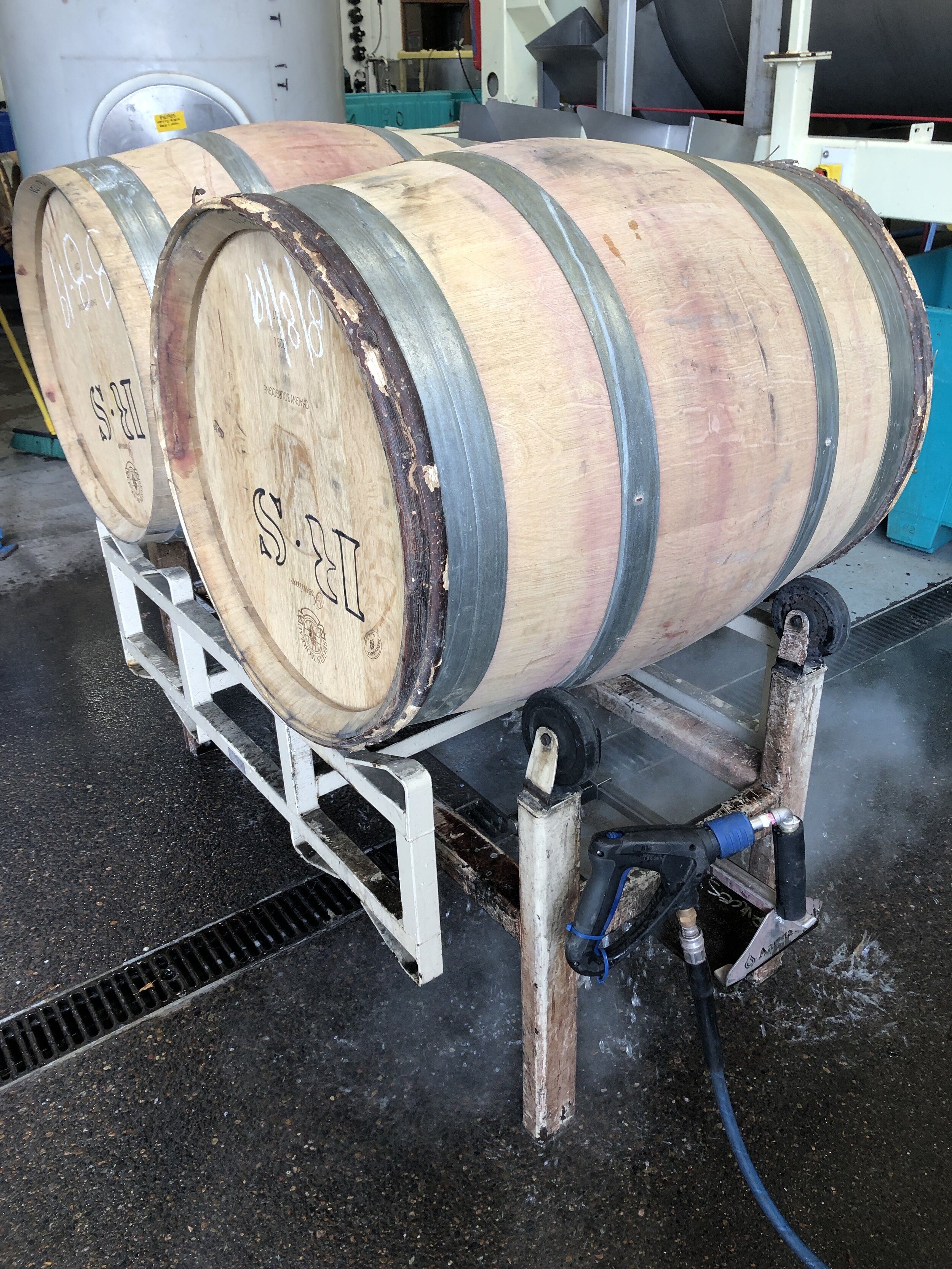 Musings on Making Wine, Part 1 — book + bottle st. pete