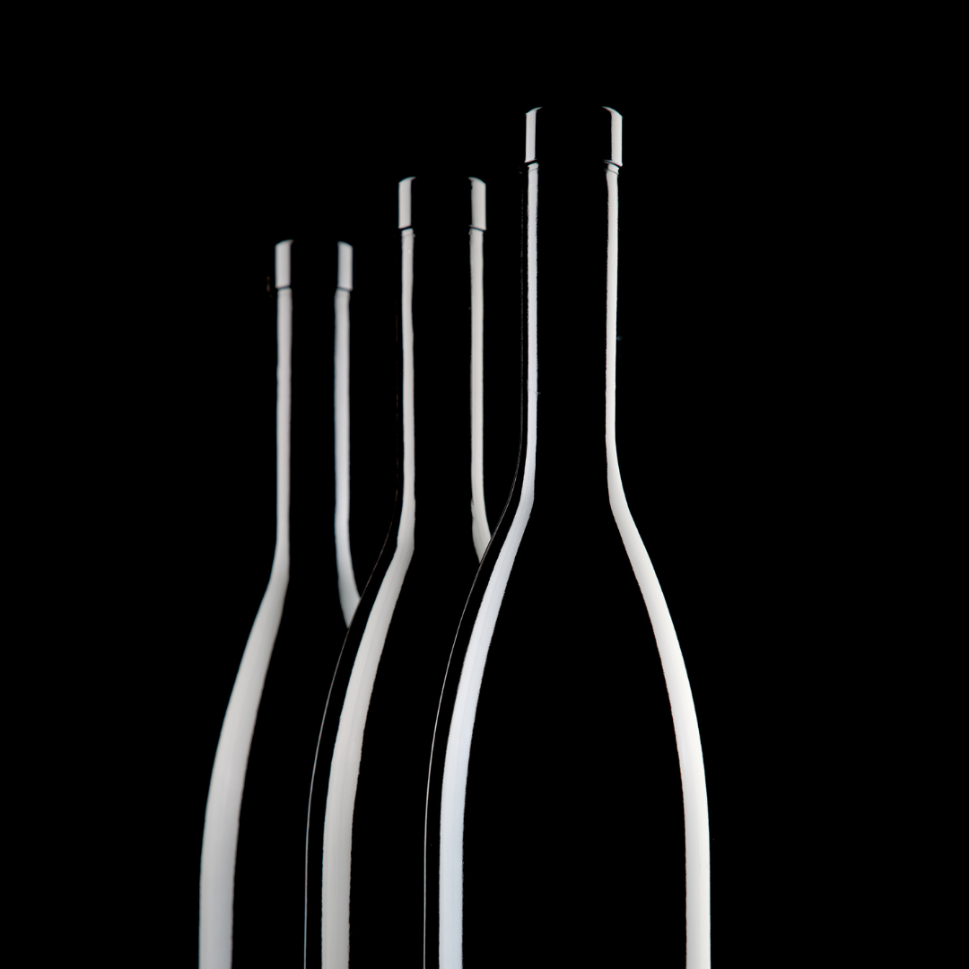 belong — book + bottle st. pete