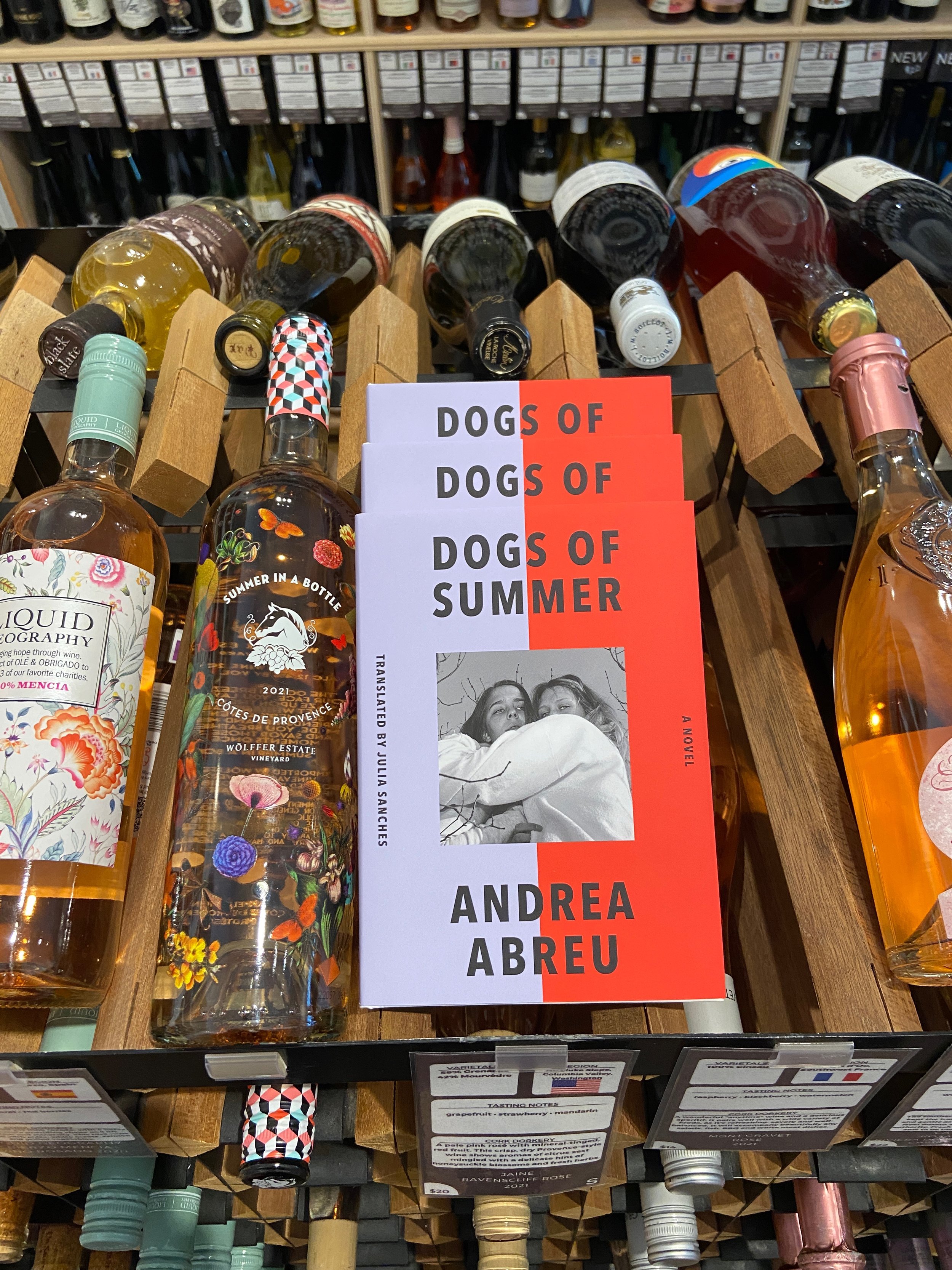 New Release Notes 08/02/22: Dogs of Summer by Andrea Abreu (Translated by Julia Sanches)