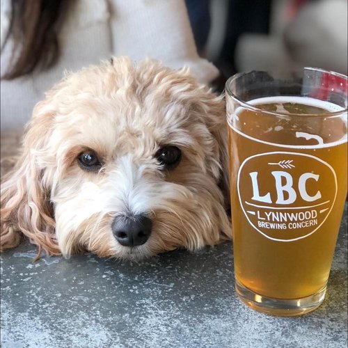 lynnwood-brewing-concern-8.jpg