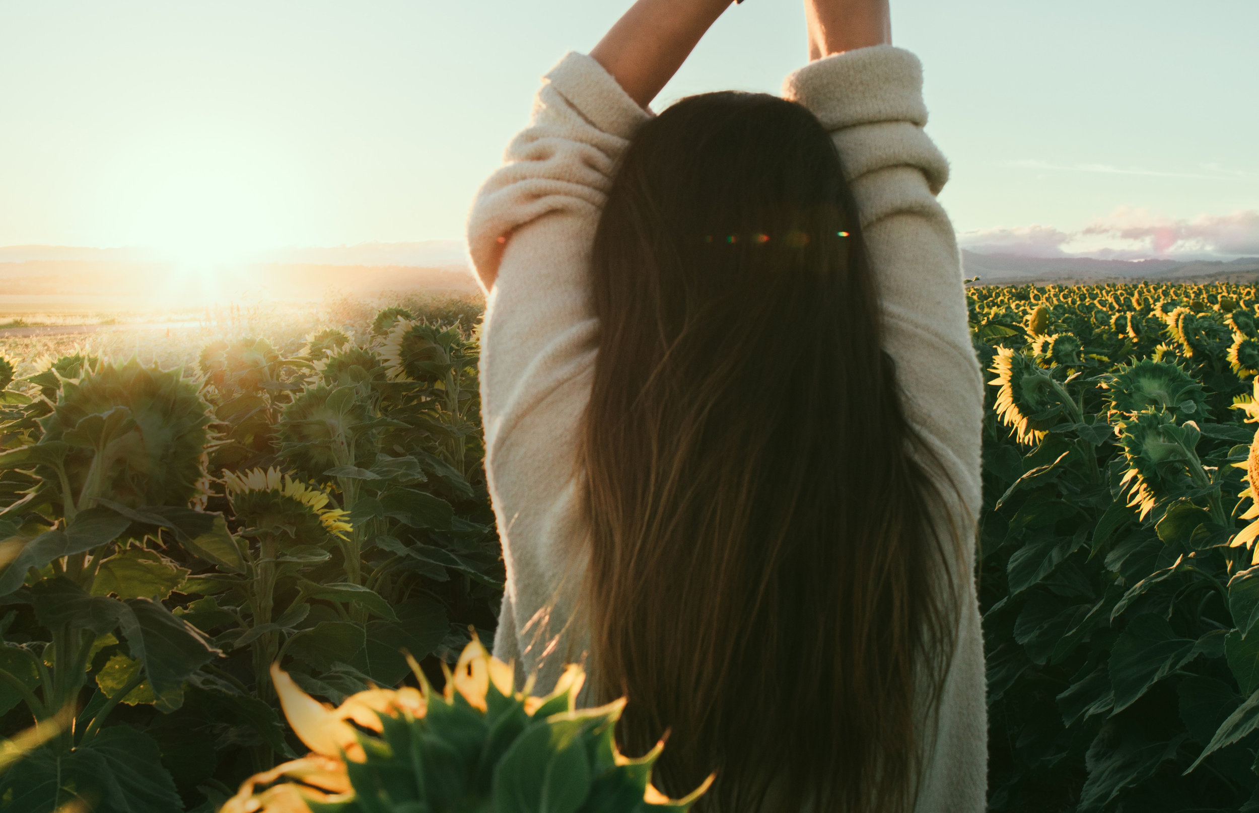 FINALLY, TRUE SOLAR POWER AT YOUR FINGERTIPS