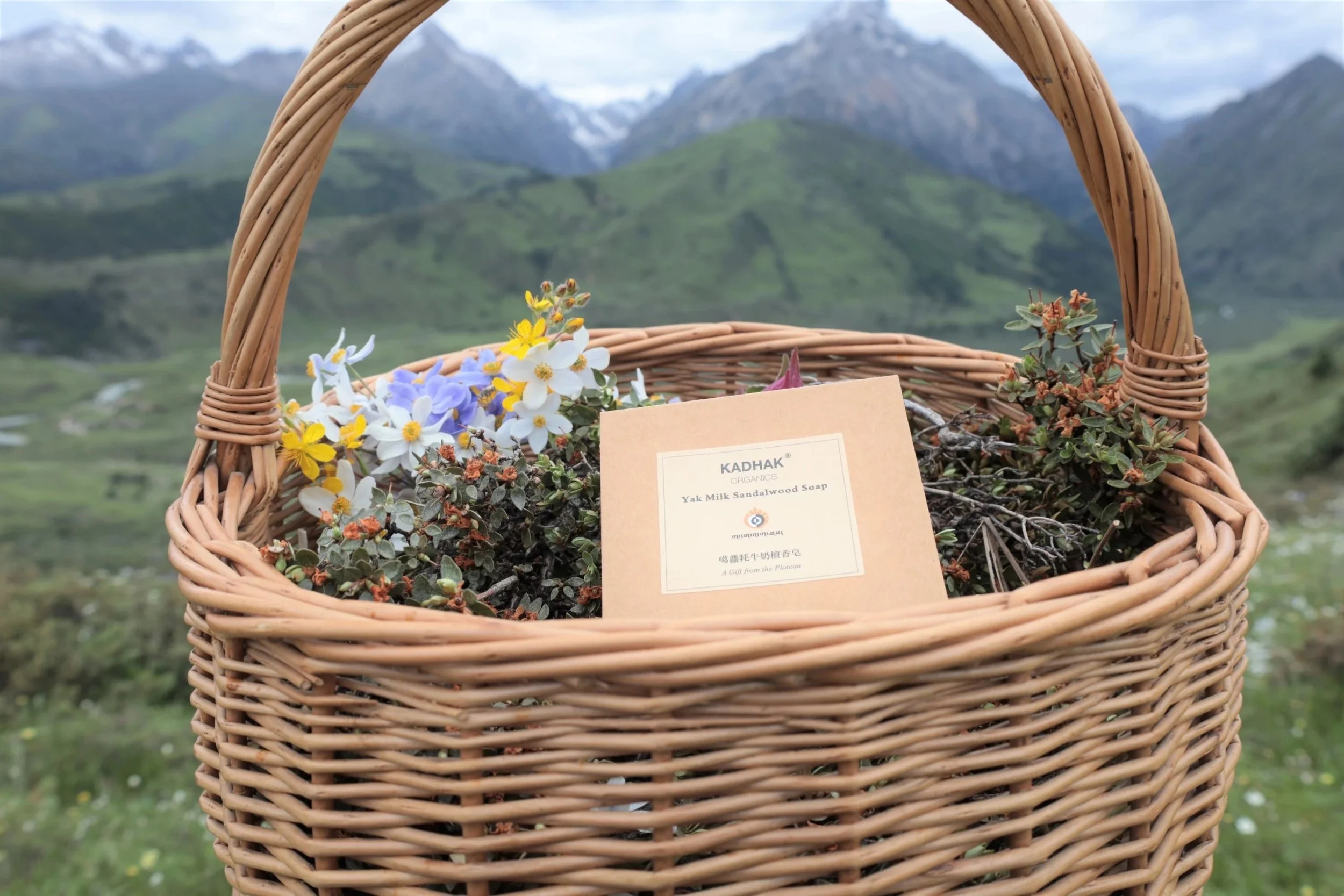 Kadhak™ Yak Milk Sandalwood Handmade Soap