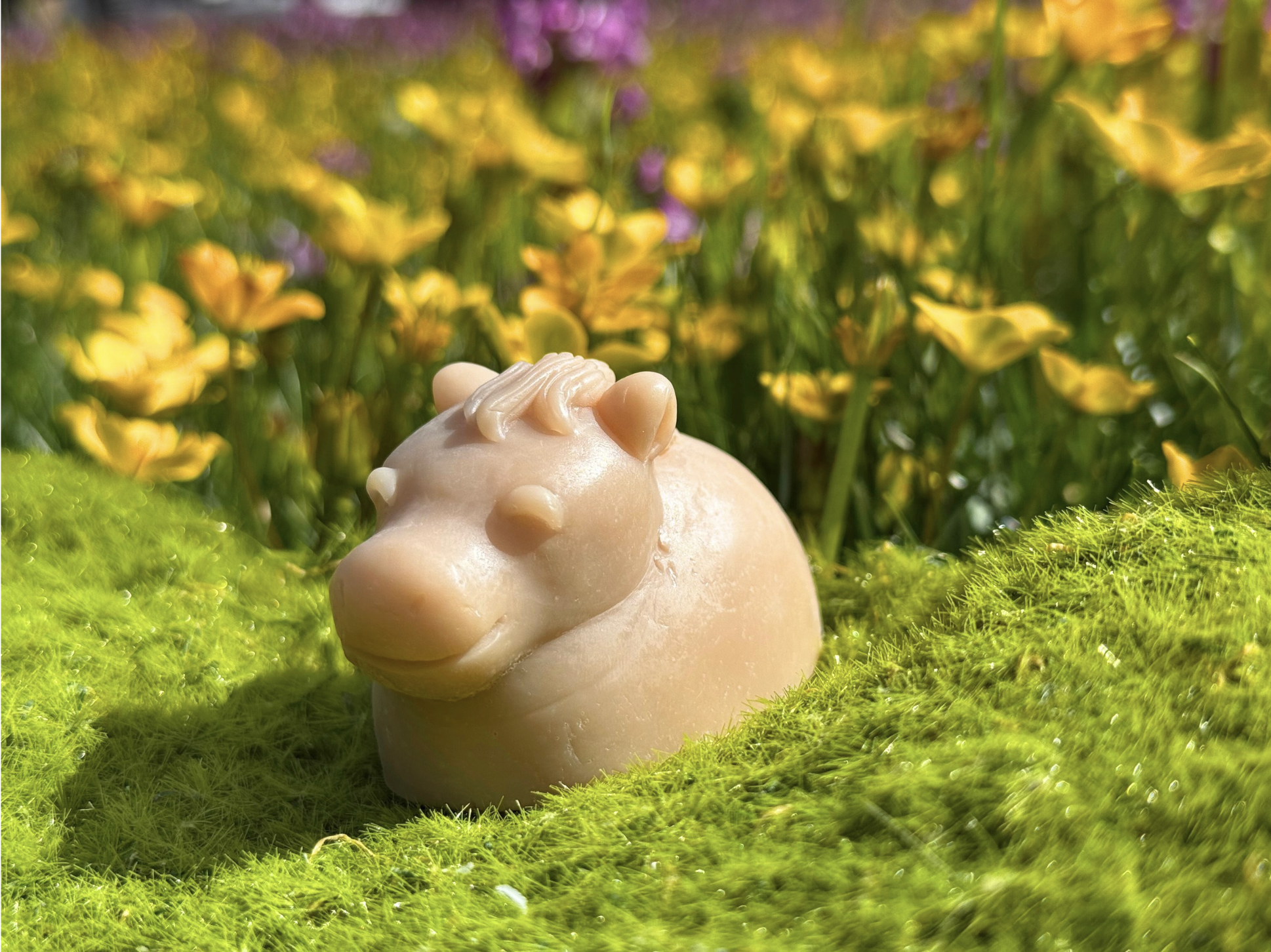 Kadhak Horse Baby Soap.png